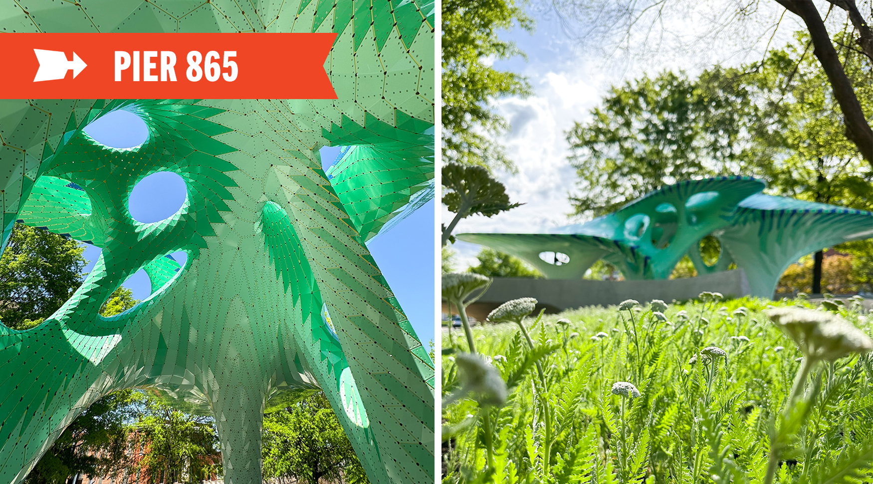 Pier 865 | Public Art | Downtown Knoxville
