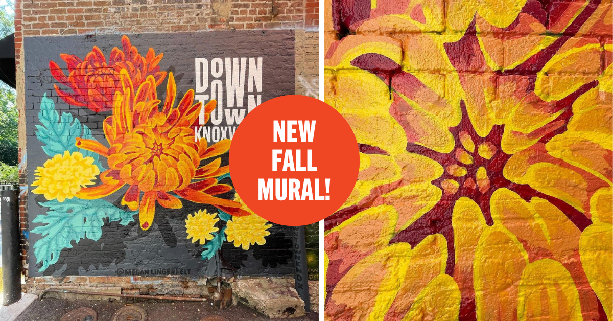 See the Fall Mural 2022 Downtown Knoxville