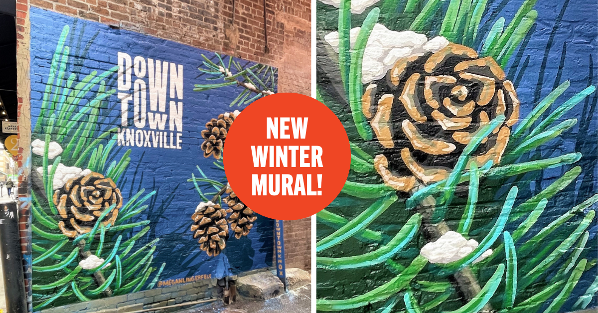 See the Winter Mural 20222023 Downtown Knoxville