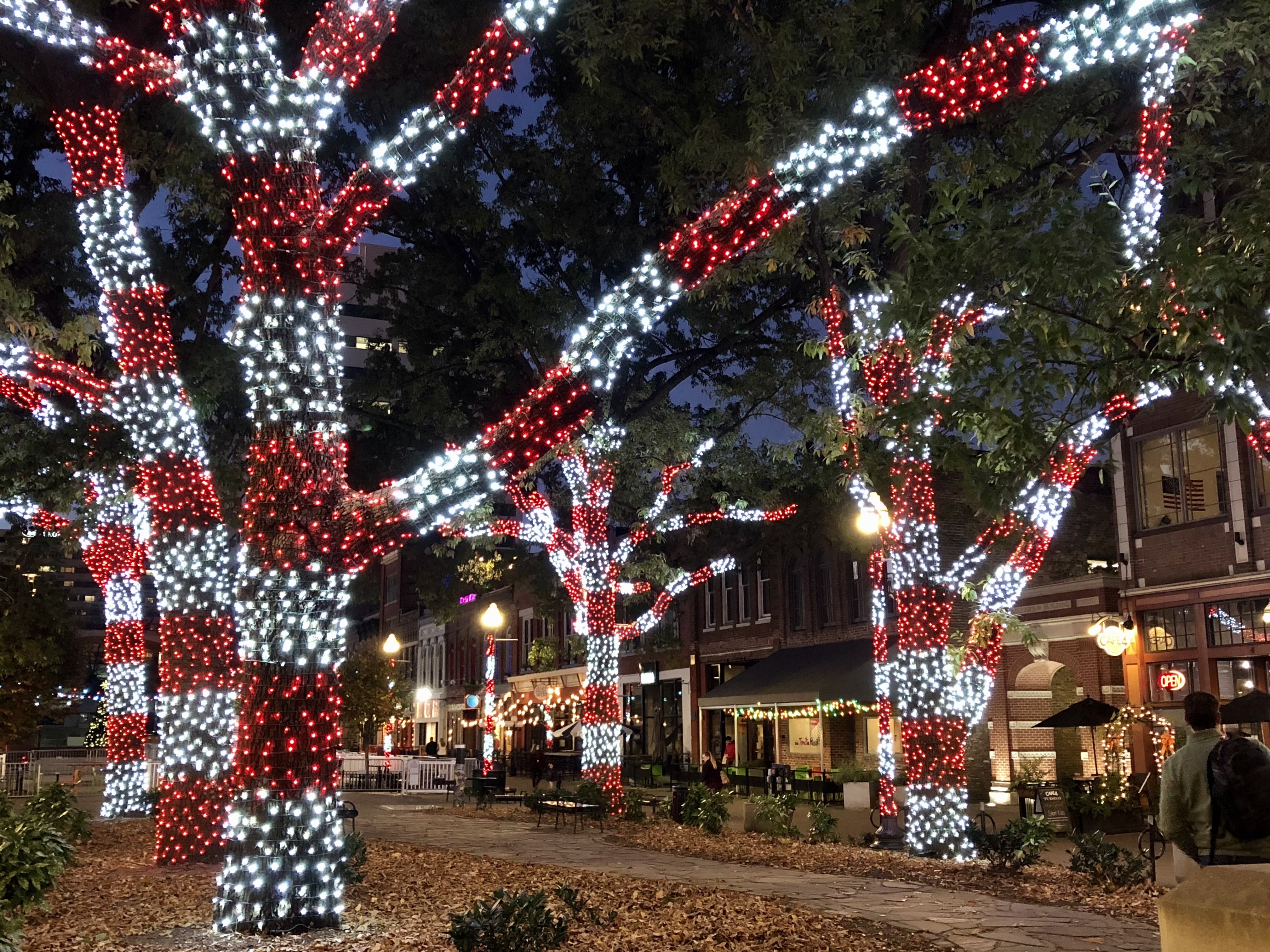 A Magical Downtown Knoxville Holiday (2021) Downtown Knoxville