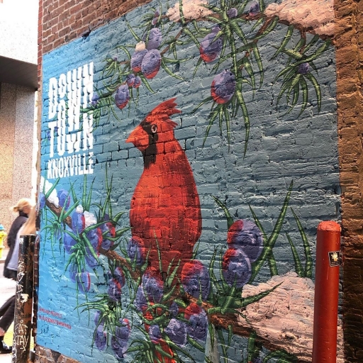 Downtown Knoxville Mural Downtown Knoxville