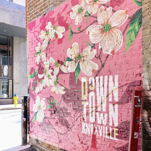 Downtown Knoxville Mural Downtown Knoxville