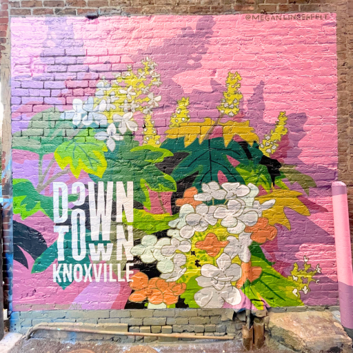 Downtown Knoxville Mural Downtown Knoxville