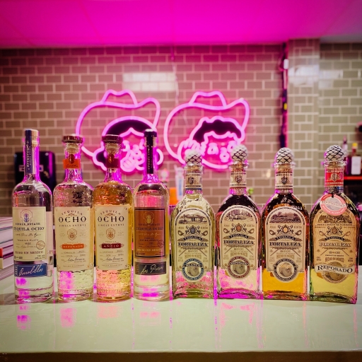 Chismoso Downtown Knoxville