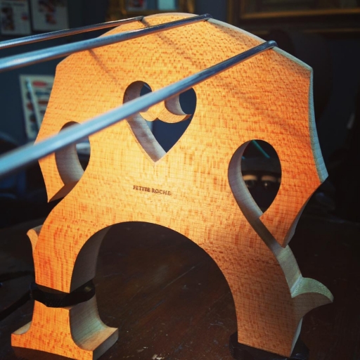 Knoxville Fine Violins Downtown Knoxville